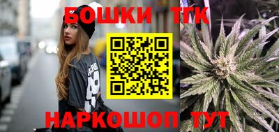 молекула духа Будённовск