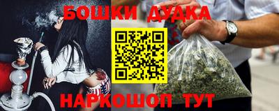 молекула духа Будённовск