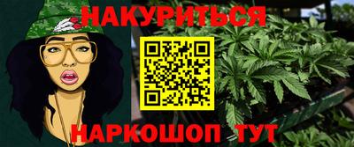 молекула духа Будённовск