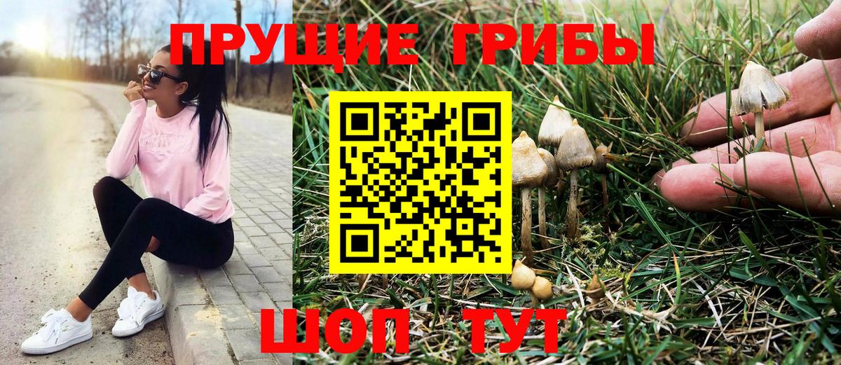 Галлюциногенные грибы мицелий Лобня